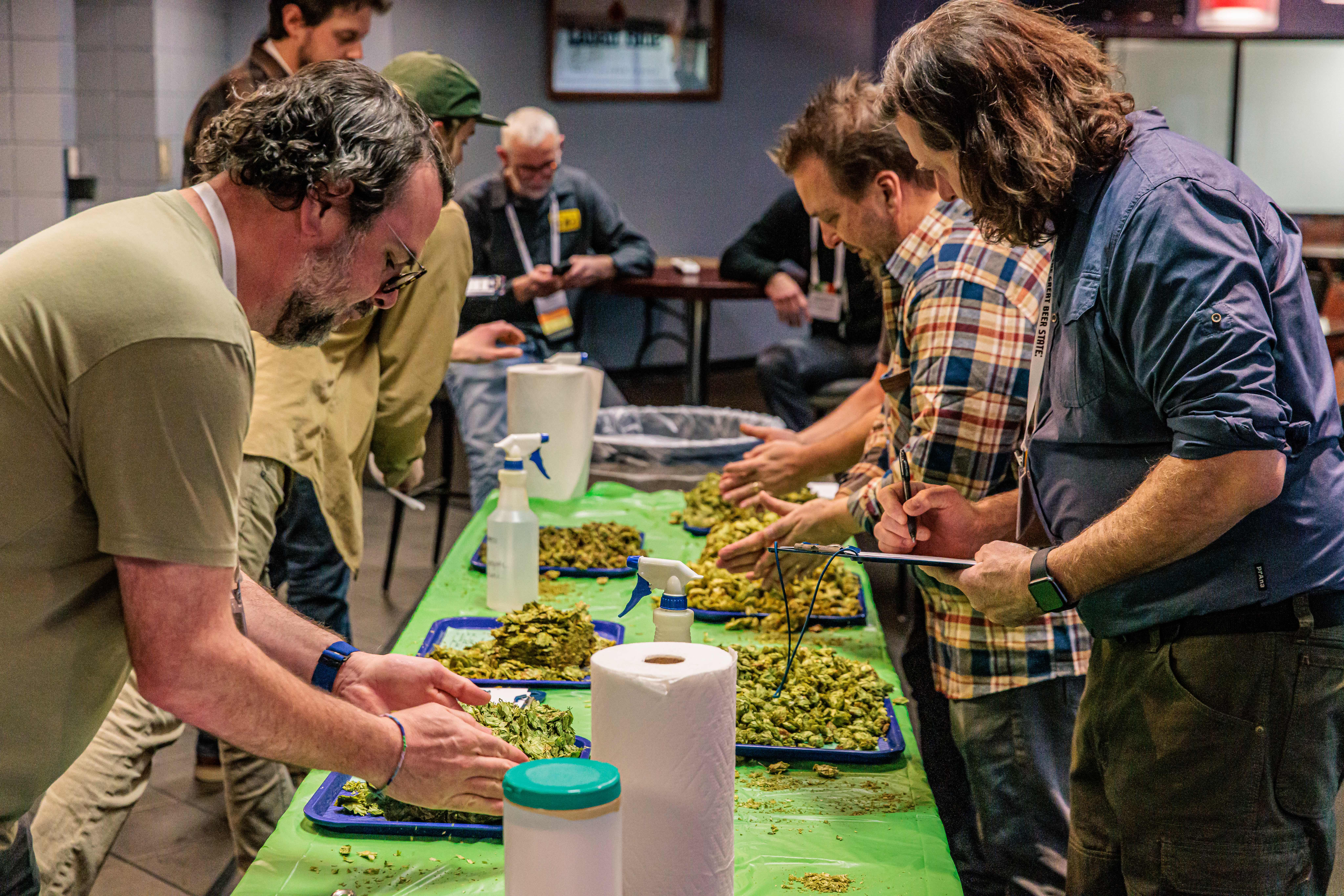 Several people gather around a table judging hop samples.